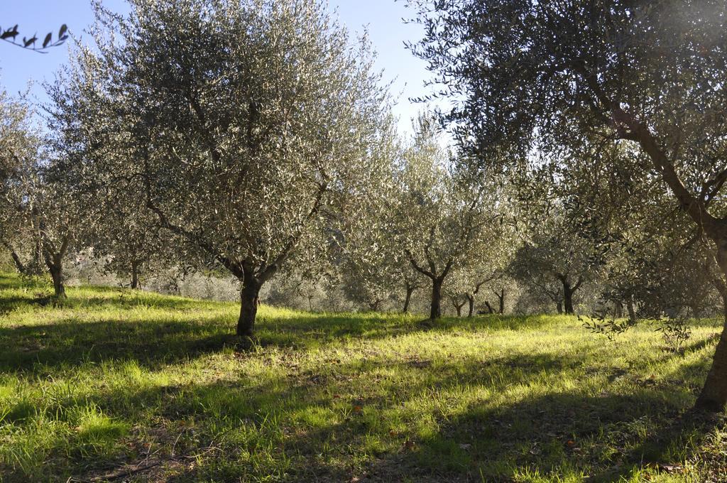 Podere Le Monache Montaione Exteriör bild