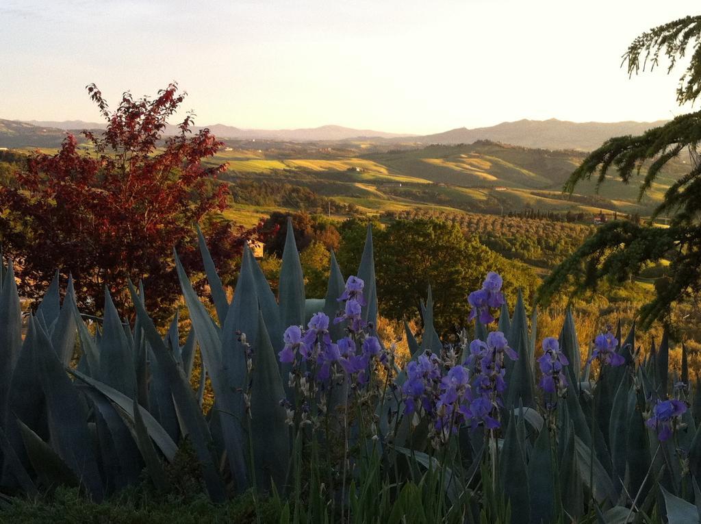 Podere Le Monache Montaione Exteriör bild