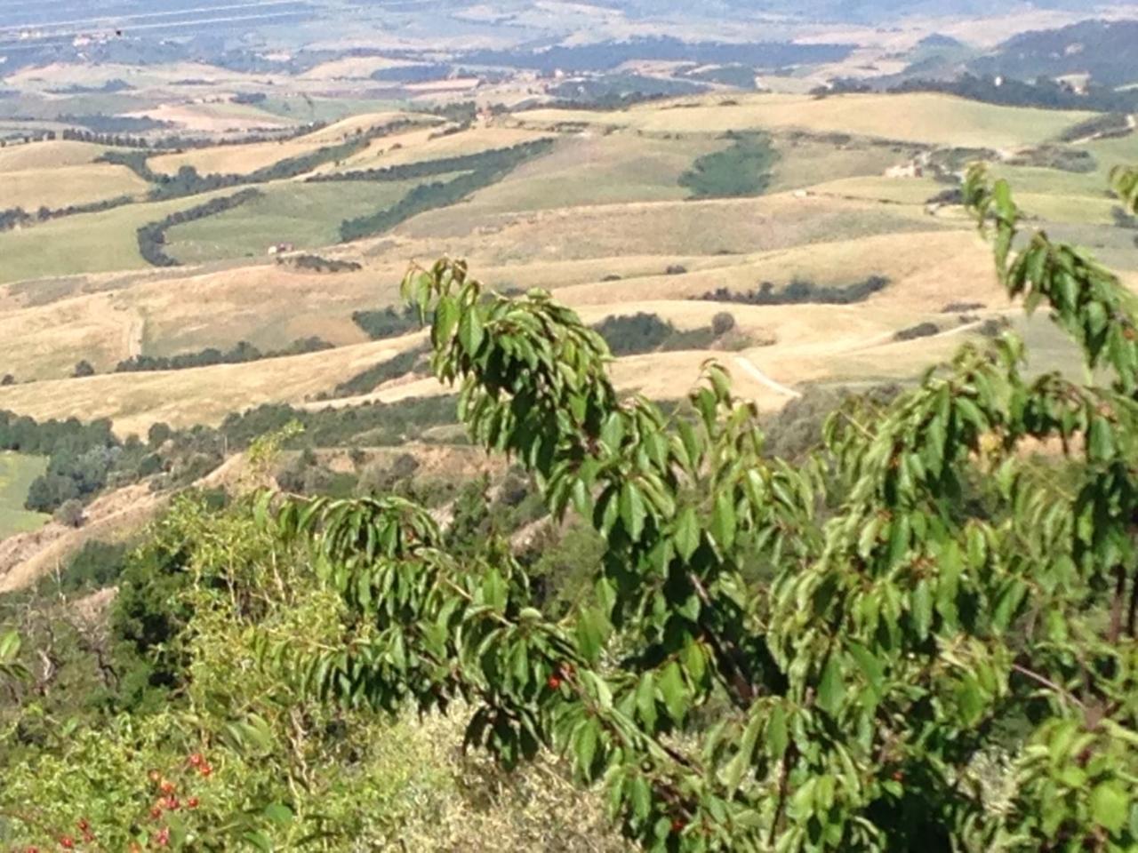 Podere Le Monache Montaione Exteriör bild