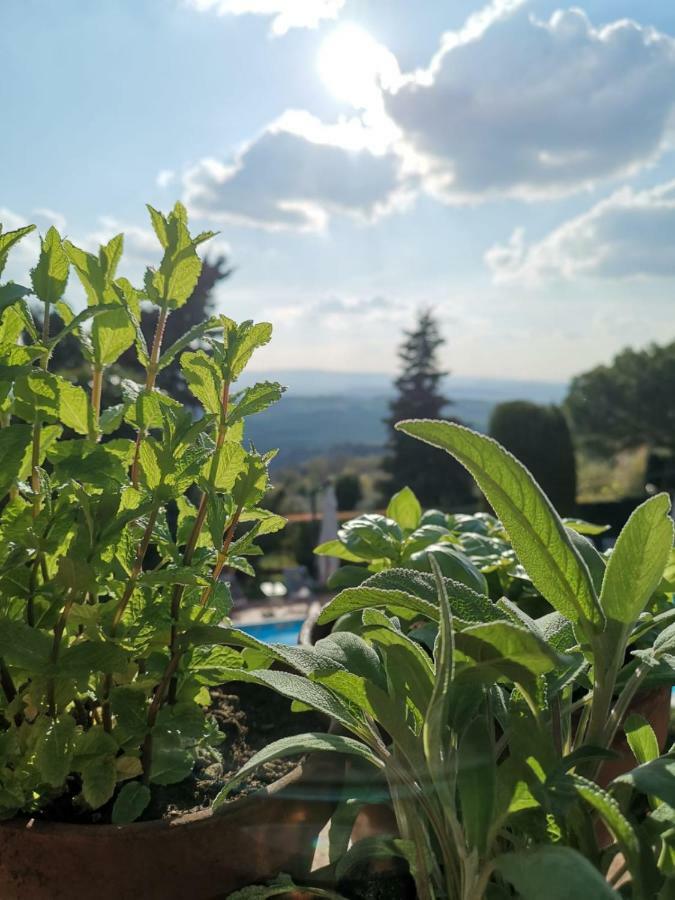 Podere Le Monache Montaione Exteriör bild